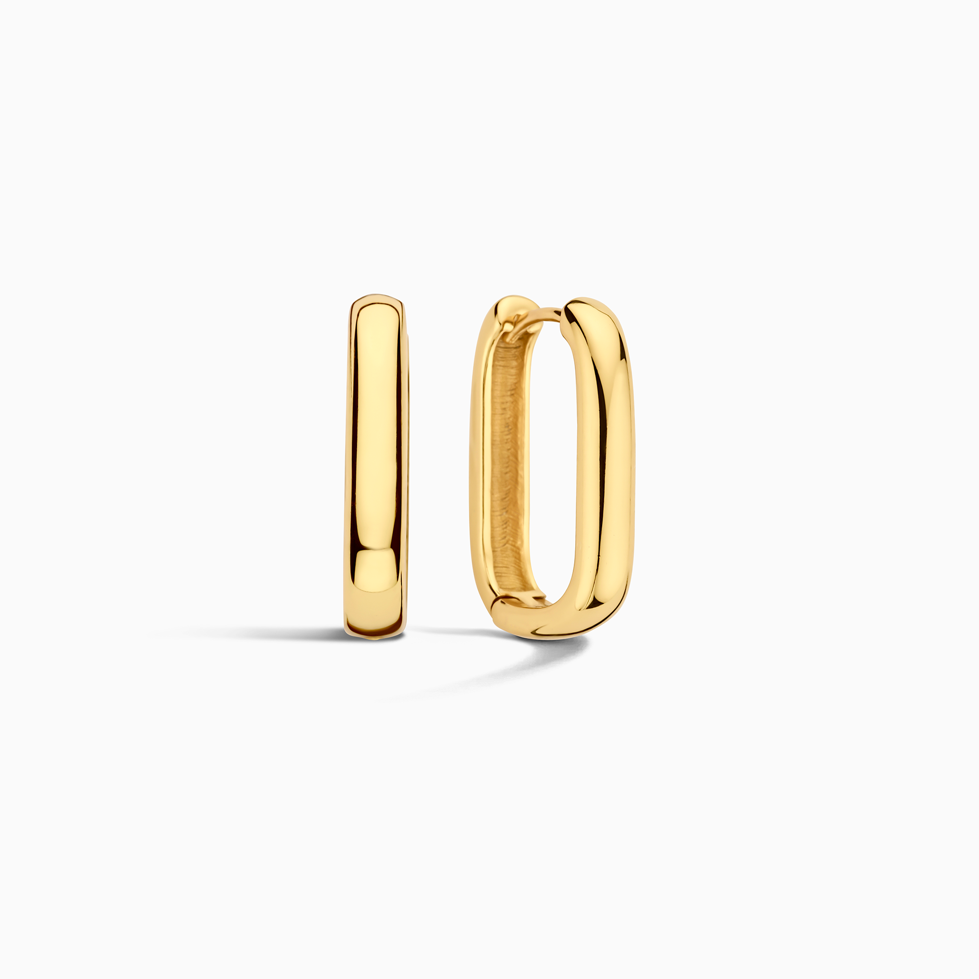 Ikon Hoop Oorbellen | Goud